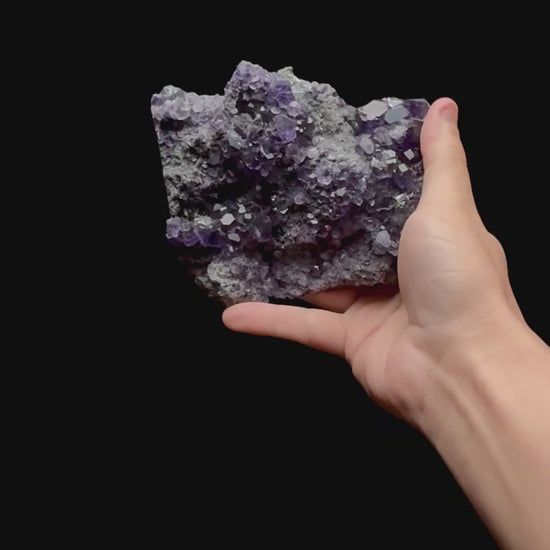 Specimen rotation video 0408