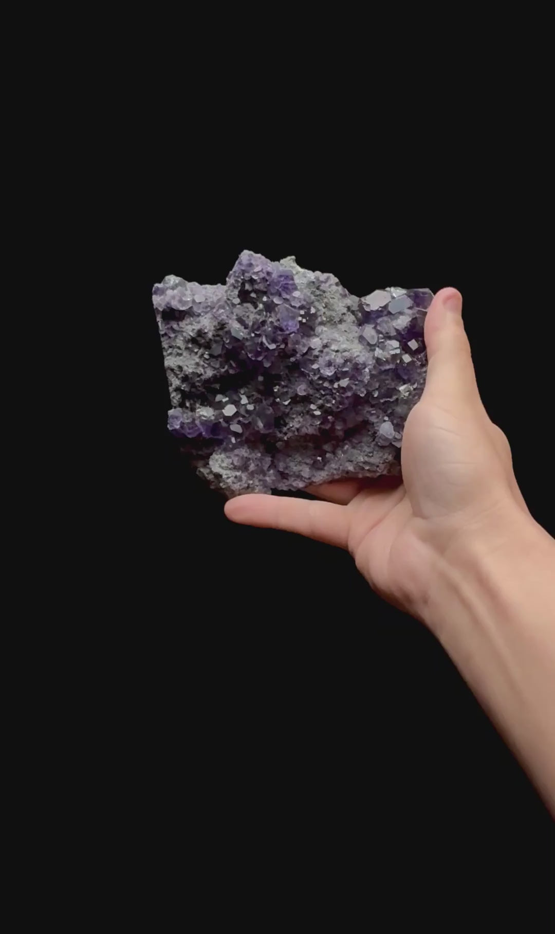 Specimen rotation video 0408