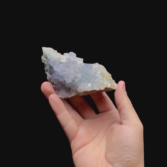 Specimen rotation video 0466