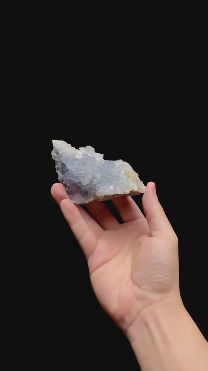 Specimen rotation video 0466
