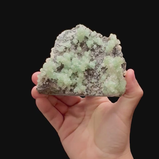 Specimen rotation video 0292