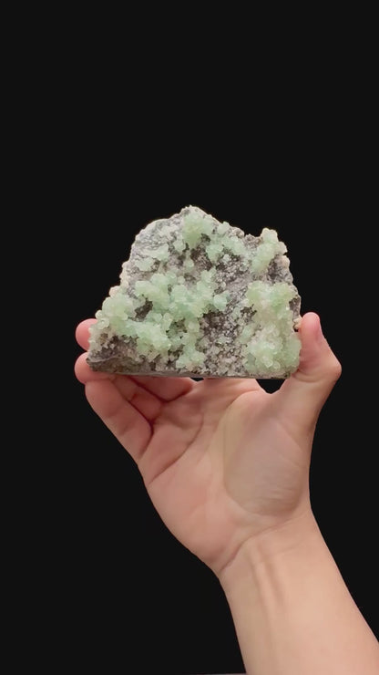 Specimen rotation video 0292