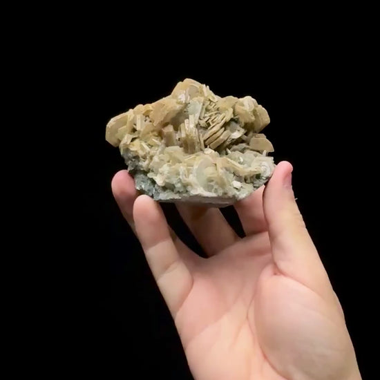 Specimen rotation video 0599
