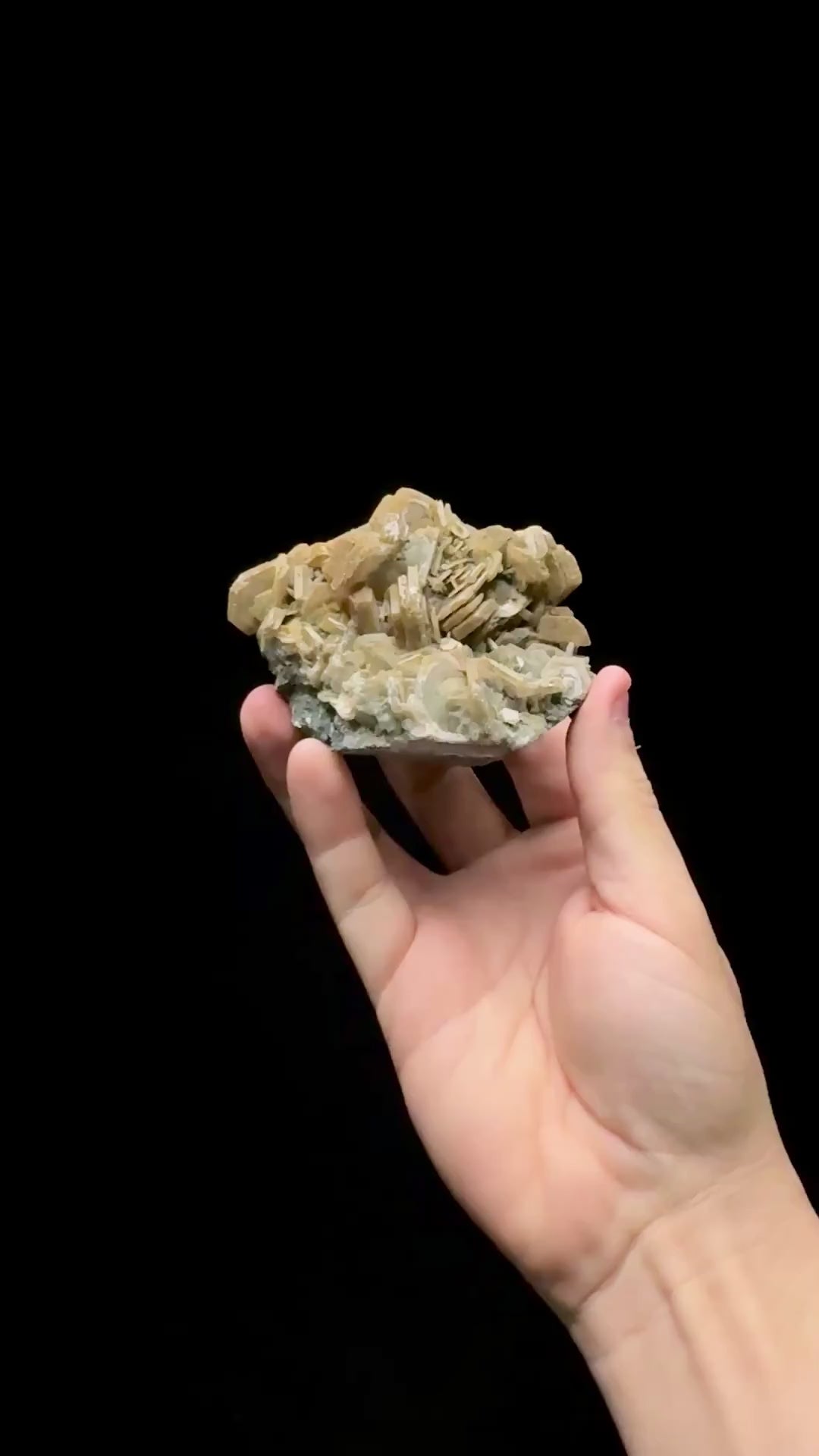 Specimen rotation video 0599