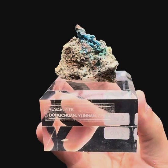 Specimen rotation video 505