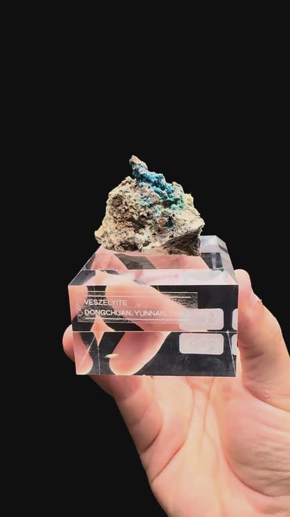Specimen rotation video 505