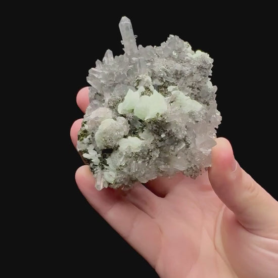 Specimen rotation video 153