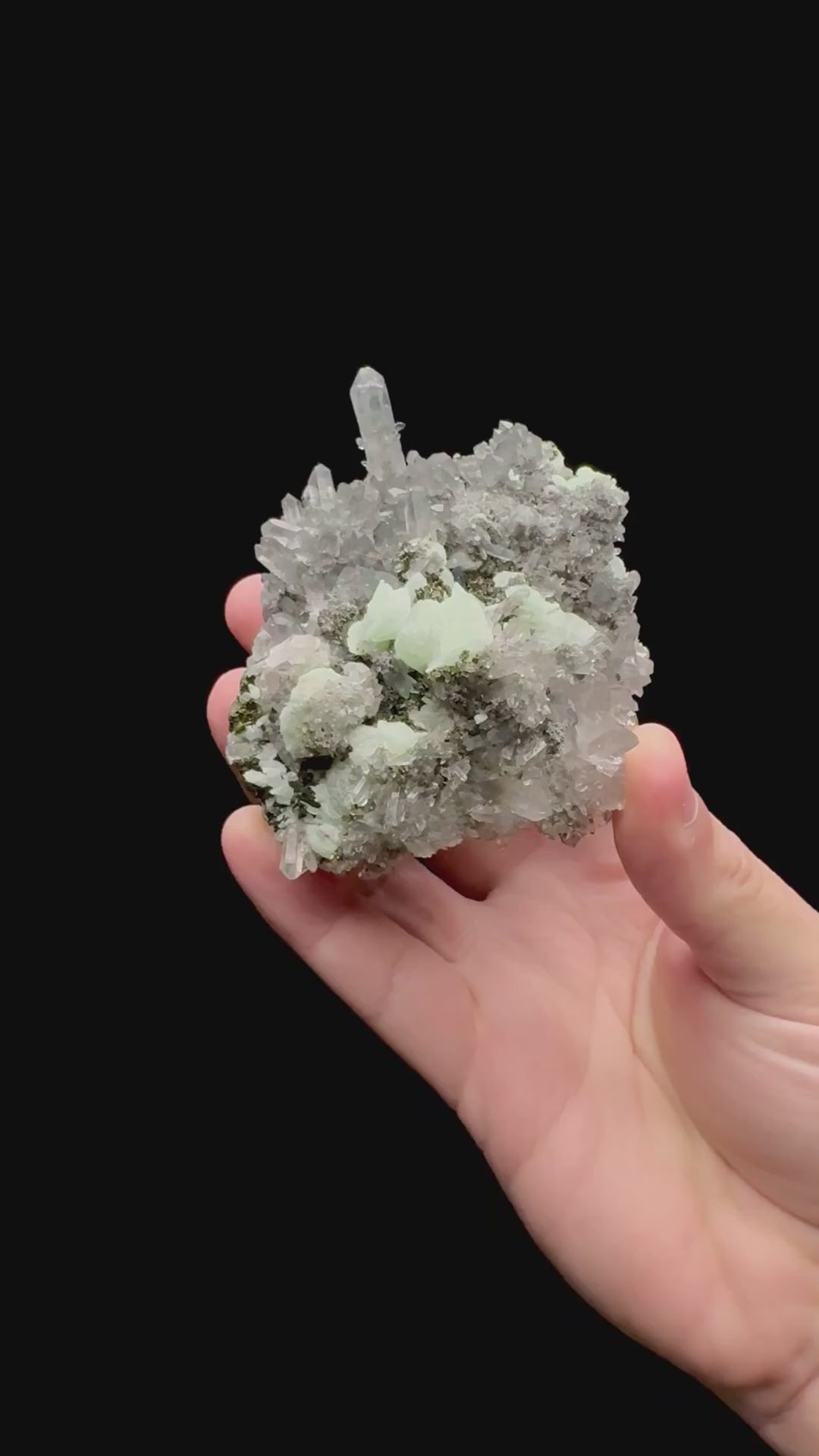 Specimen rotation video 153