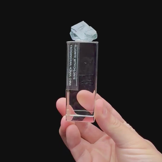 Specimen rotation video 206