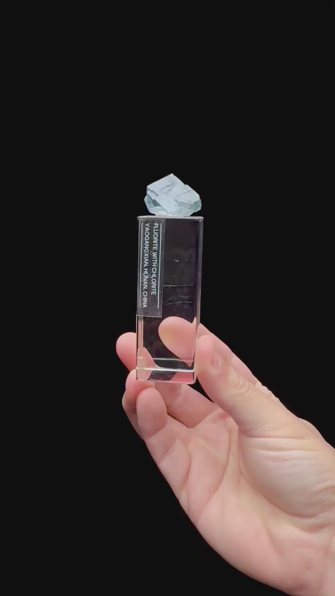 Specimen rotation video 206