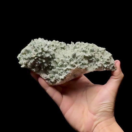 Specimen rotation video 0610