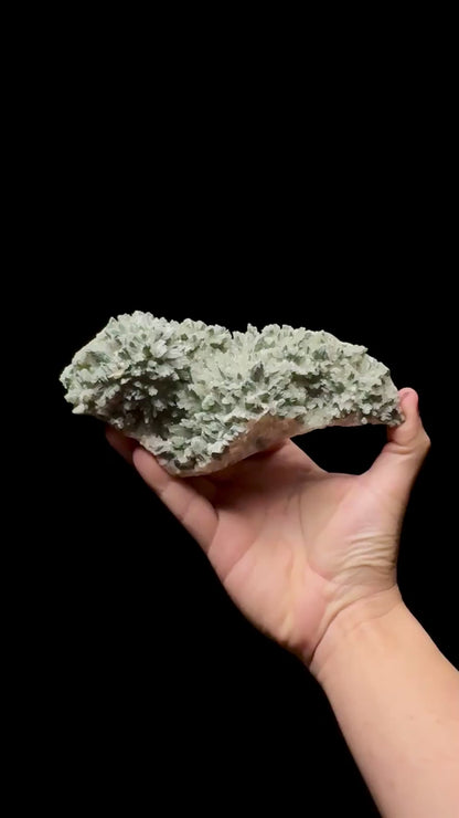 Specimen rotation video 0610