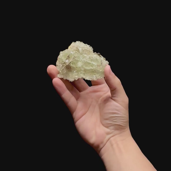 Specimen rotation video 0463