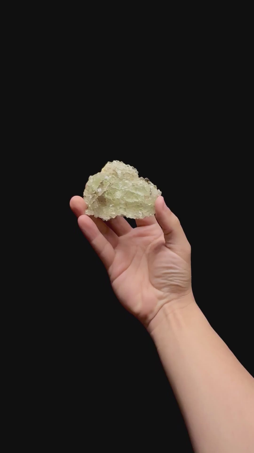 Specimen rotation video 0463