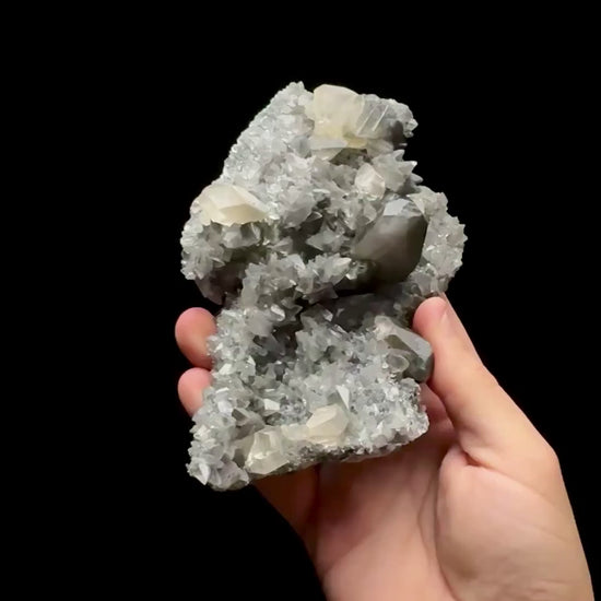 Specimen rotation video 0650