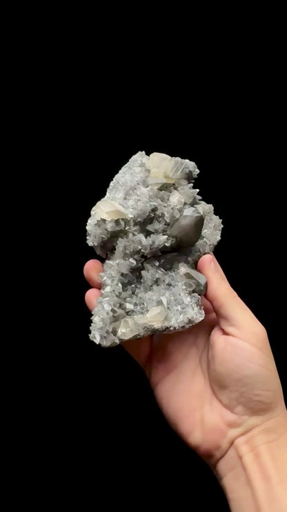 Specimen rotation video 0650