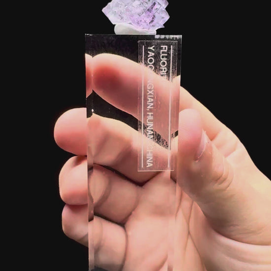 Specimen rotation video 449
