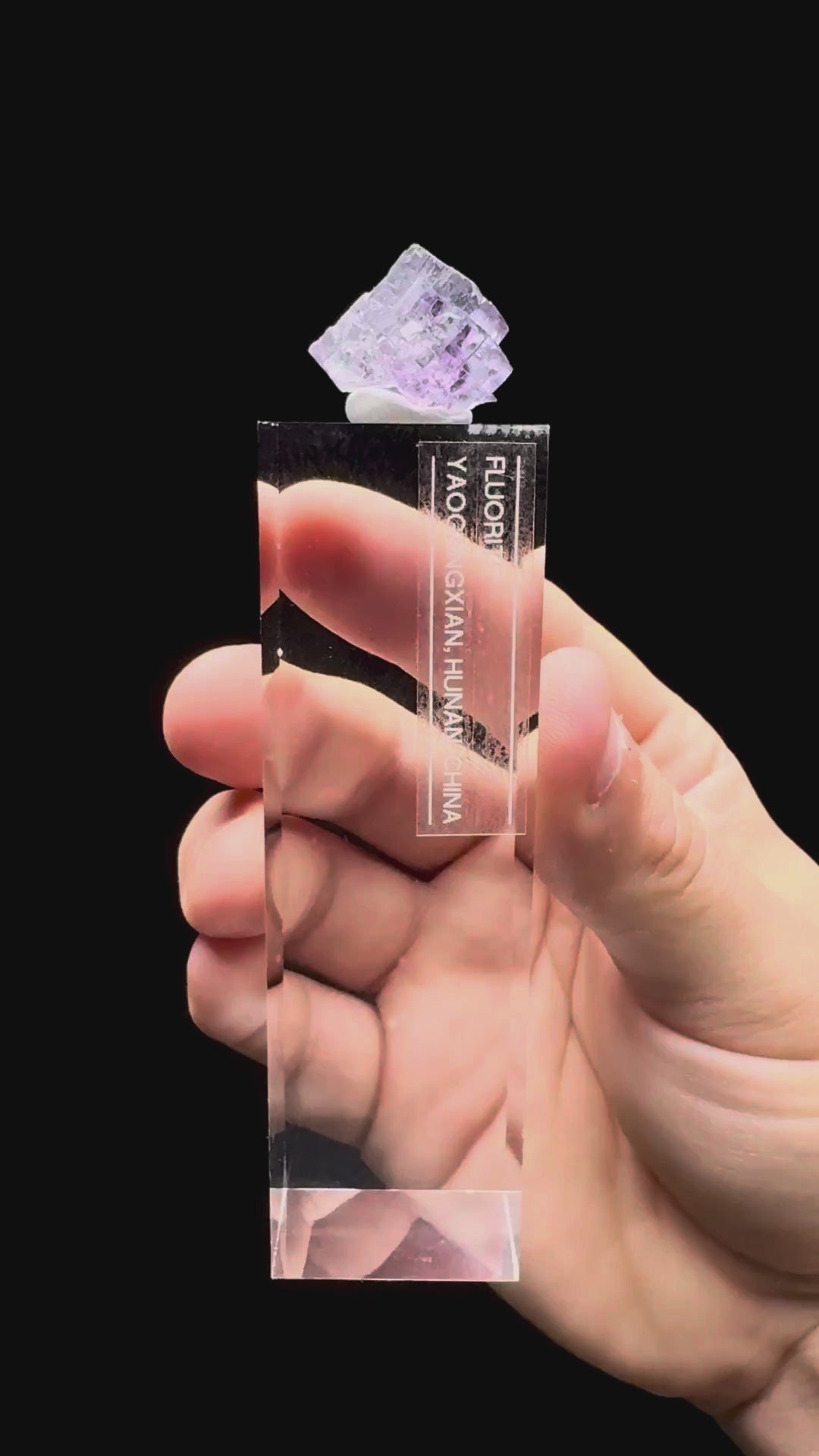 Specimen rotation video 449