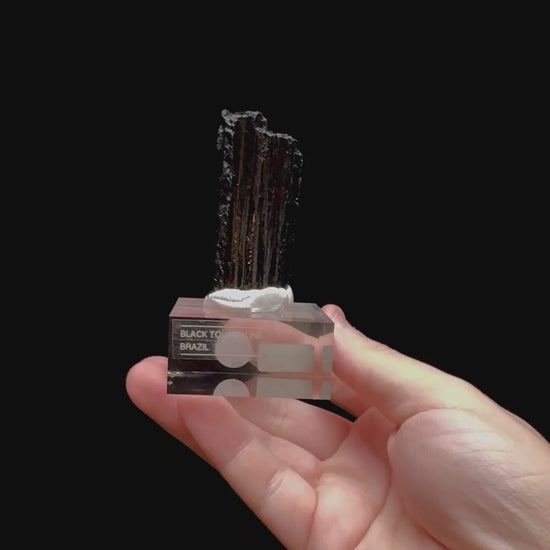 Specimen rotation video 0337
