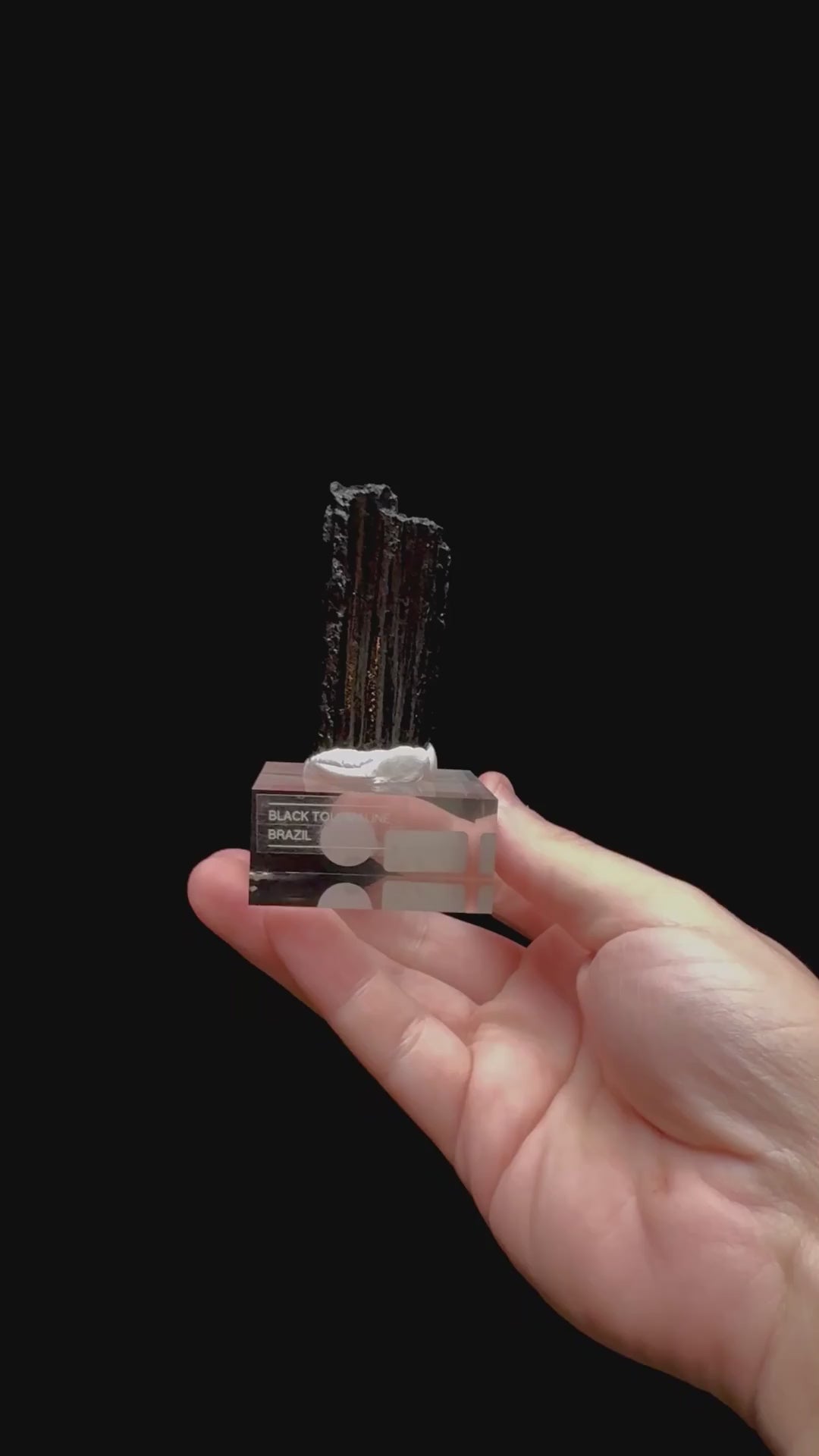 Specimen rotation video 0337