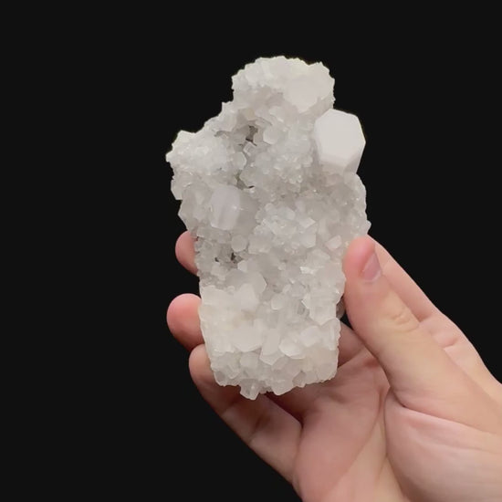 Specimen rotation video 0248