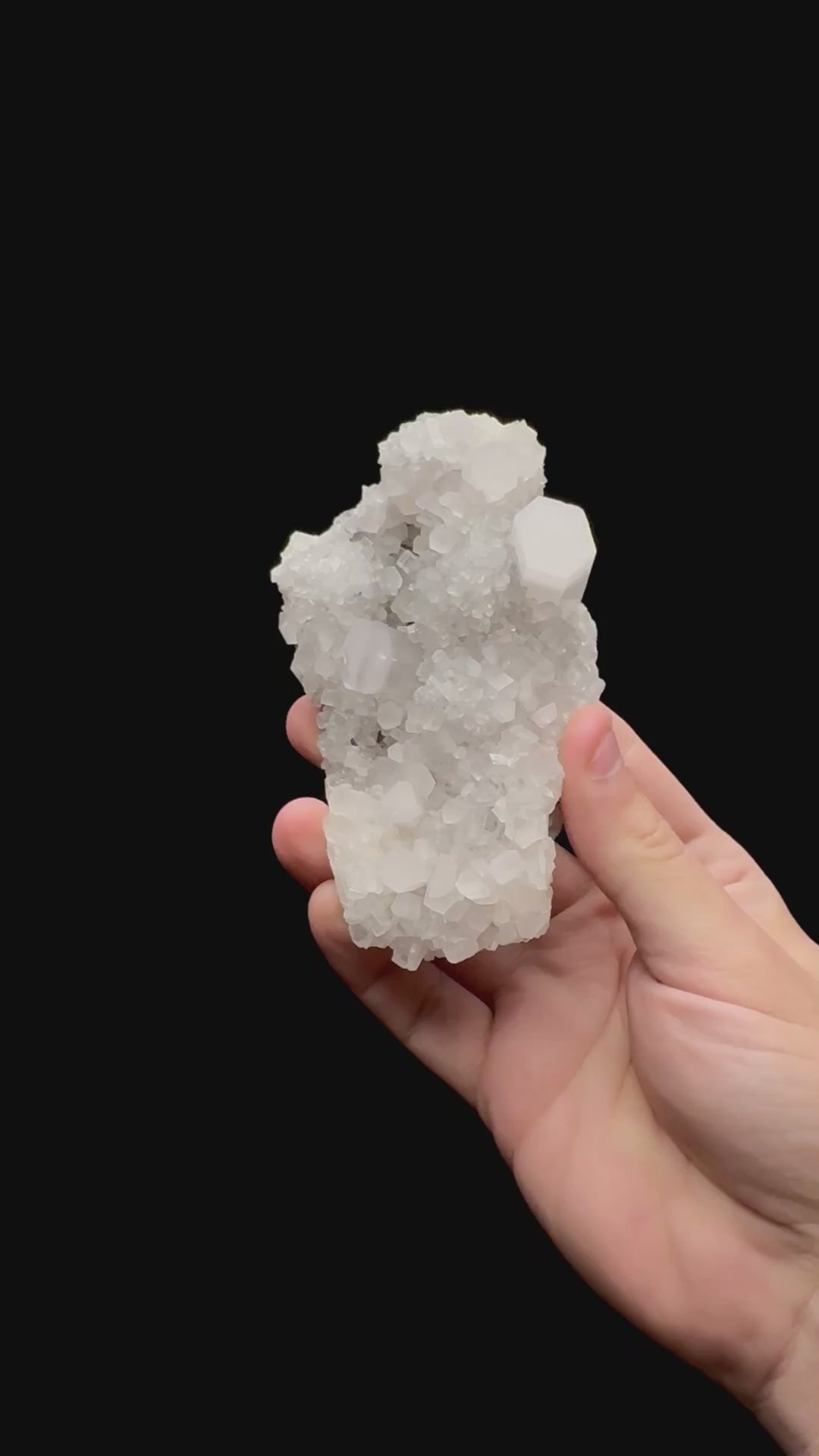Specimen rotation video 0248