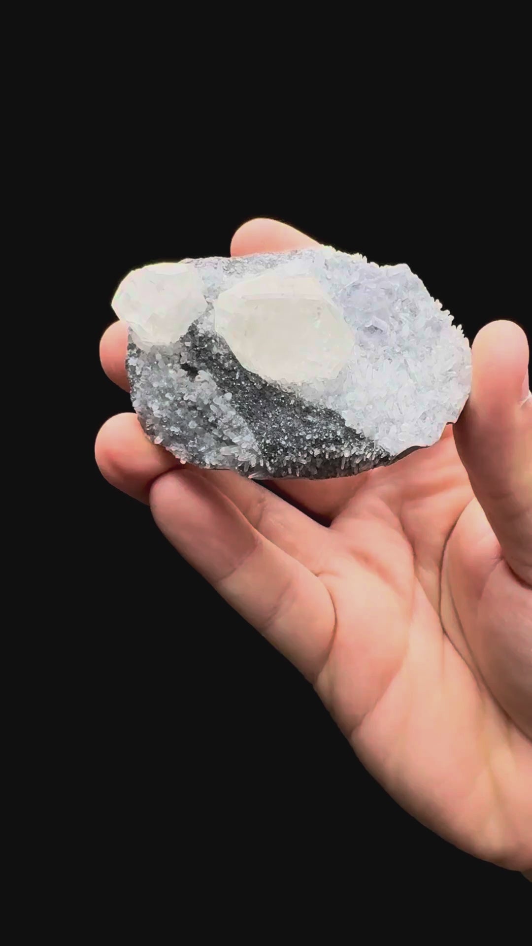 Specimen rotation video 572
