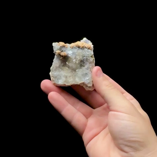 Specimen rotation video 0631