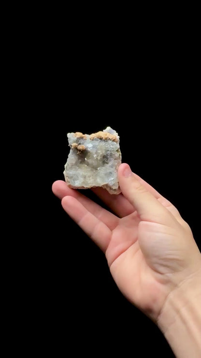 Specimen rotation video 0631