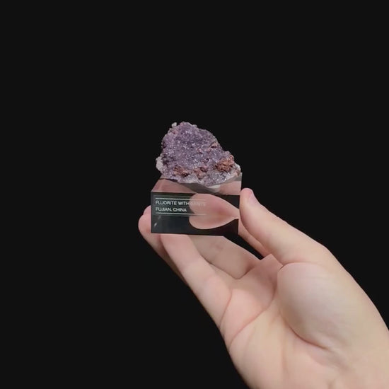 Specimen rotation video 0506