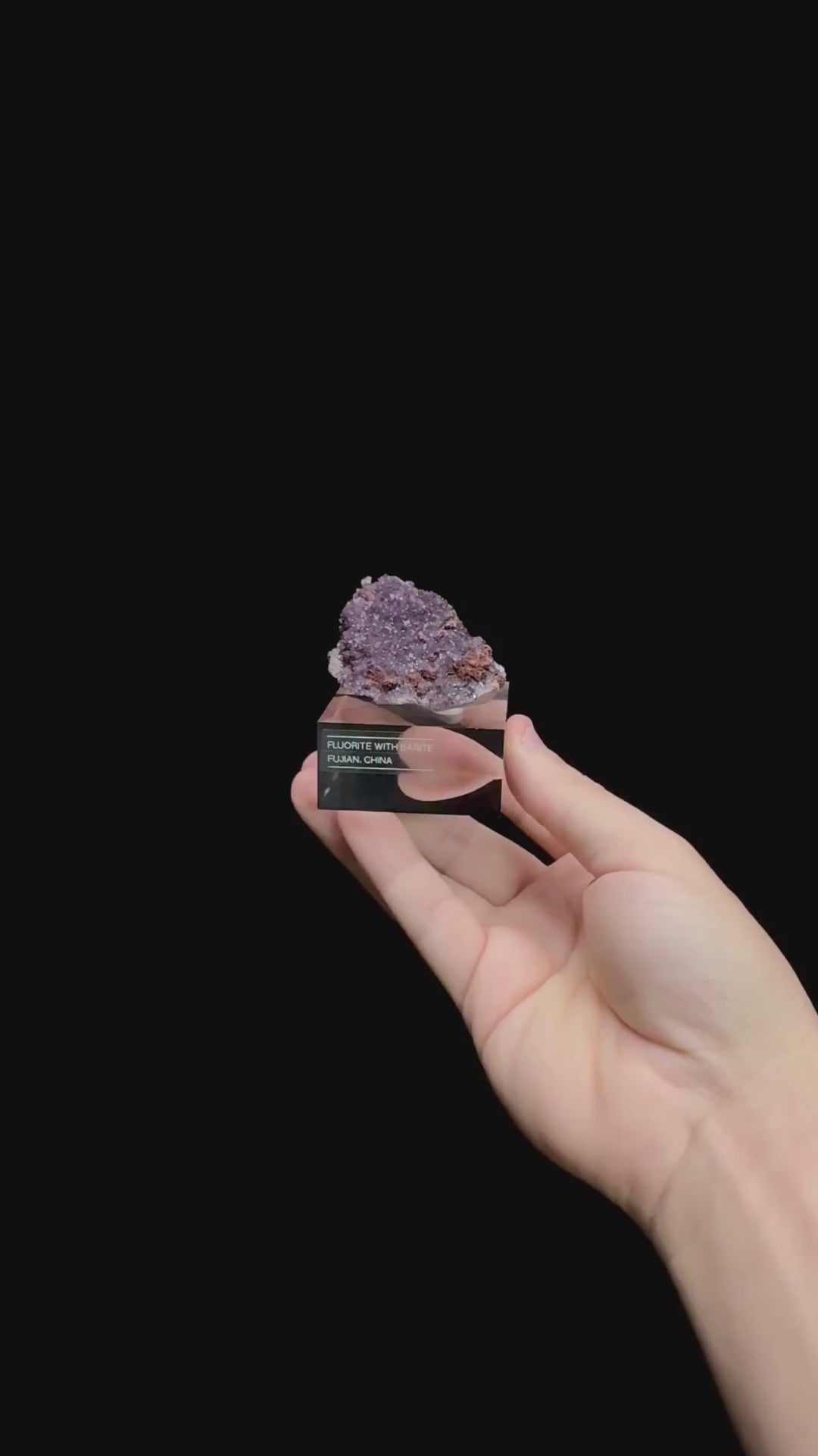 Specimen rotation video 0506