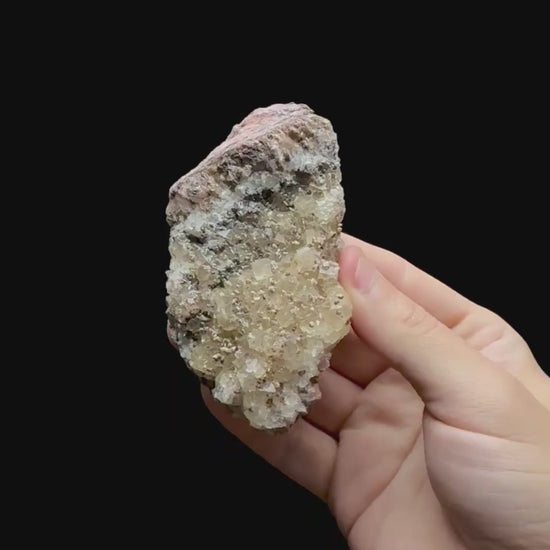 Specimen rotation video 0713