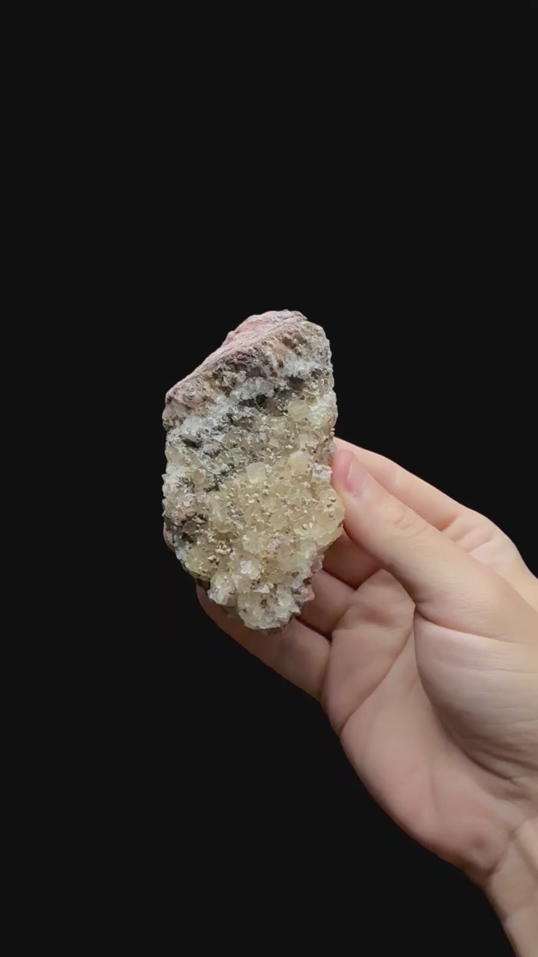 Specimen rotation video 0713