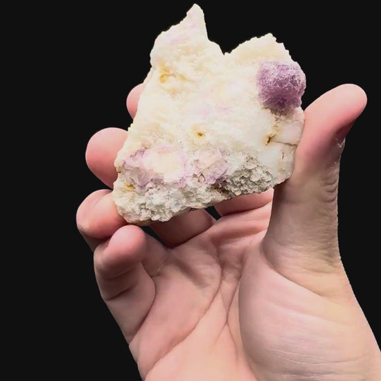 Specimen rotation video 020