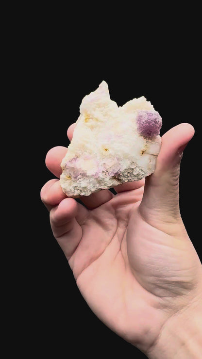 Specimen rotation video 020