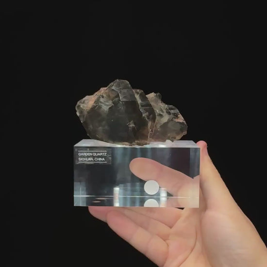 Specimen rotation video 0694