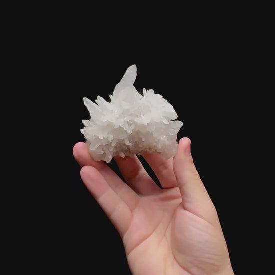 Specimen rotation video 0485
