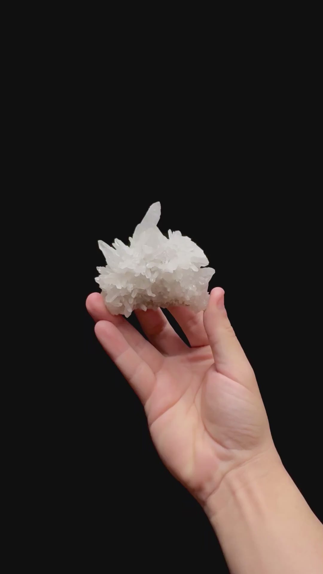 Specimen rotation video 0485