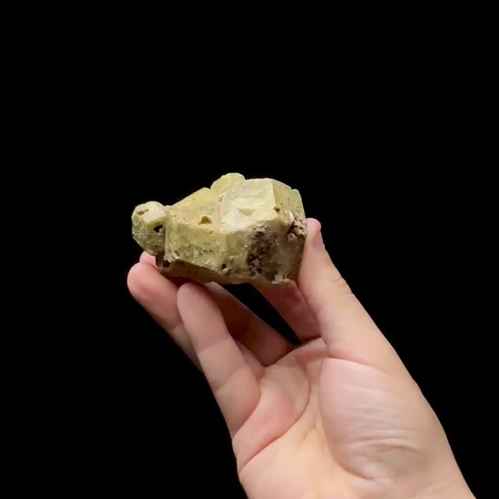 Specimen rotation video 0615