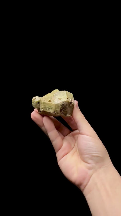 Specimen rotation video 0615