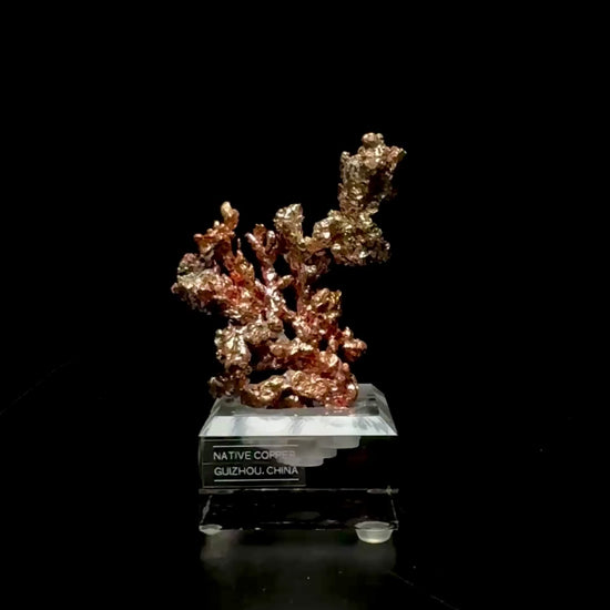 Specimen rotation video 0747