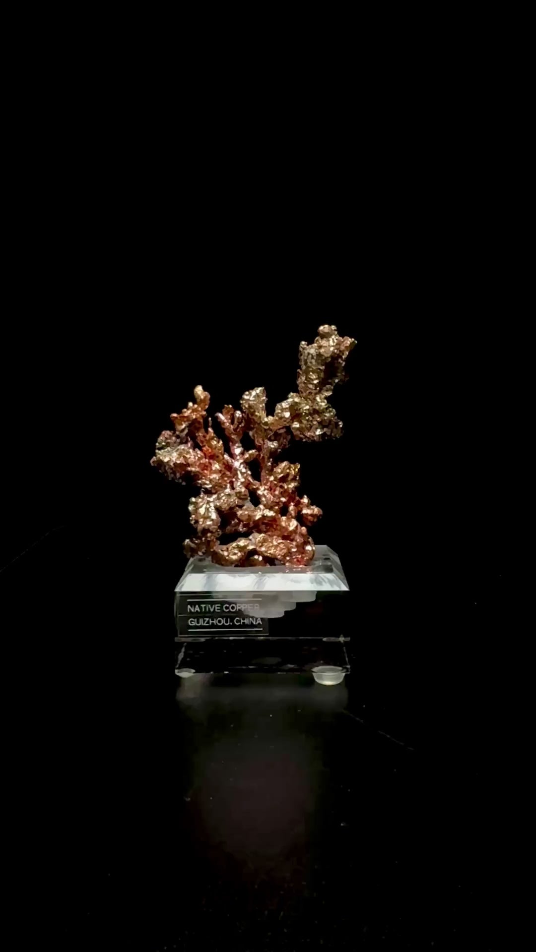 Specimen rotation video 0747