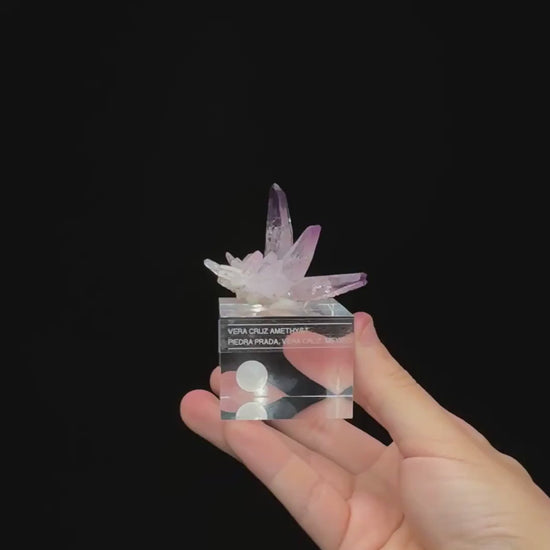 Specimen rotation video 0712