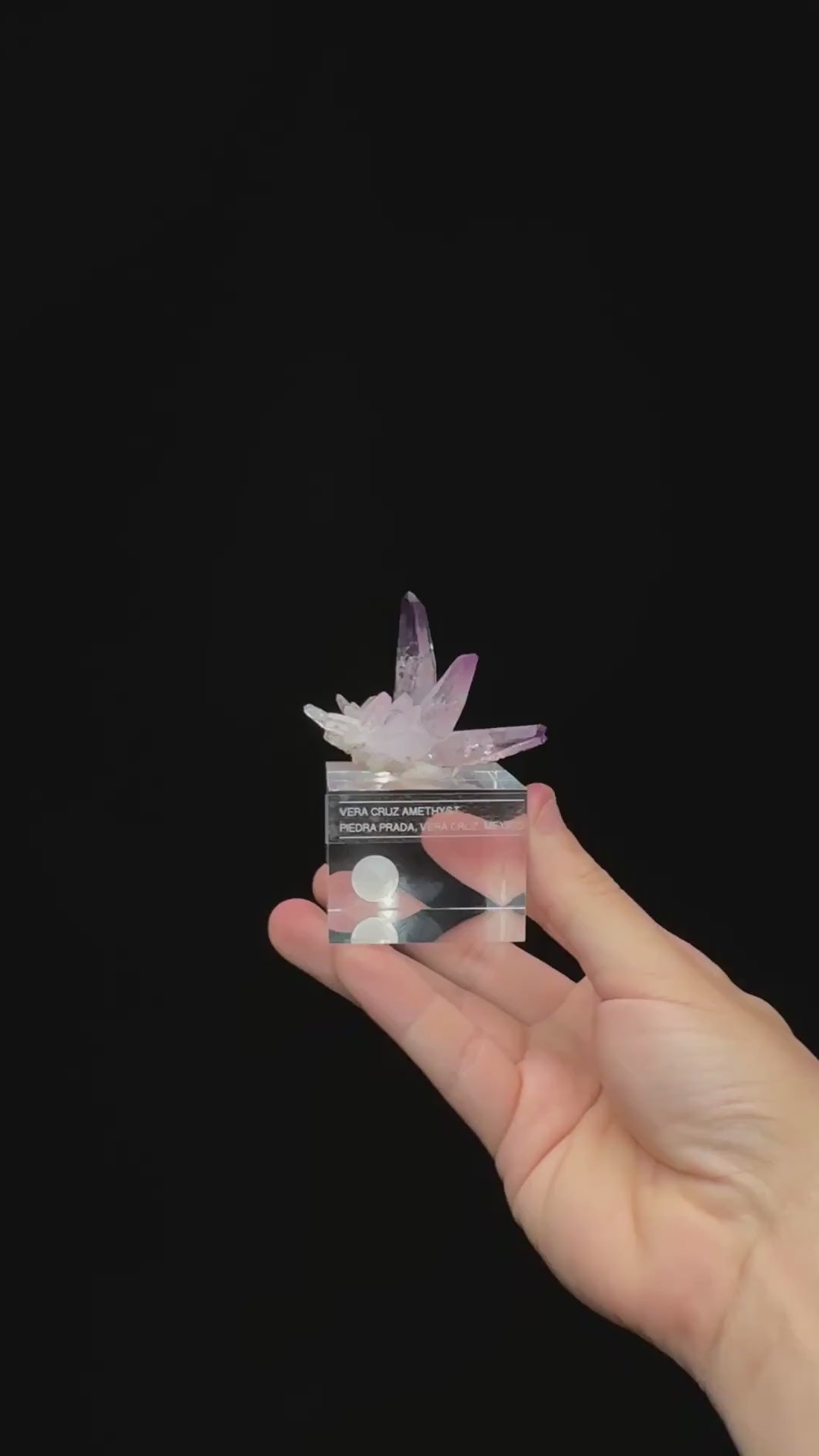Specimen rotation video 0712