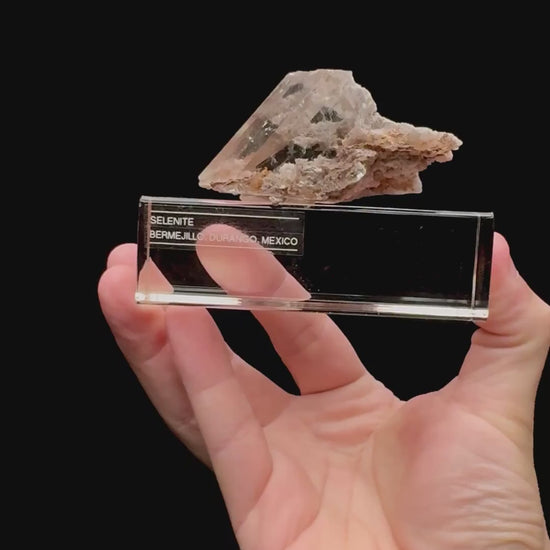 Specimen rotation video 119