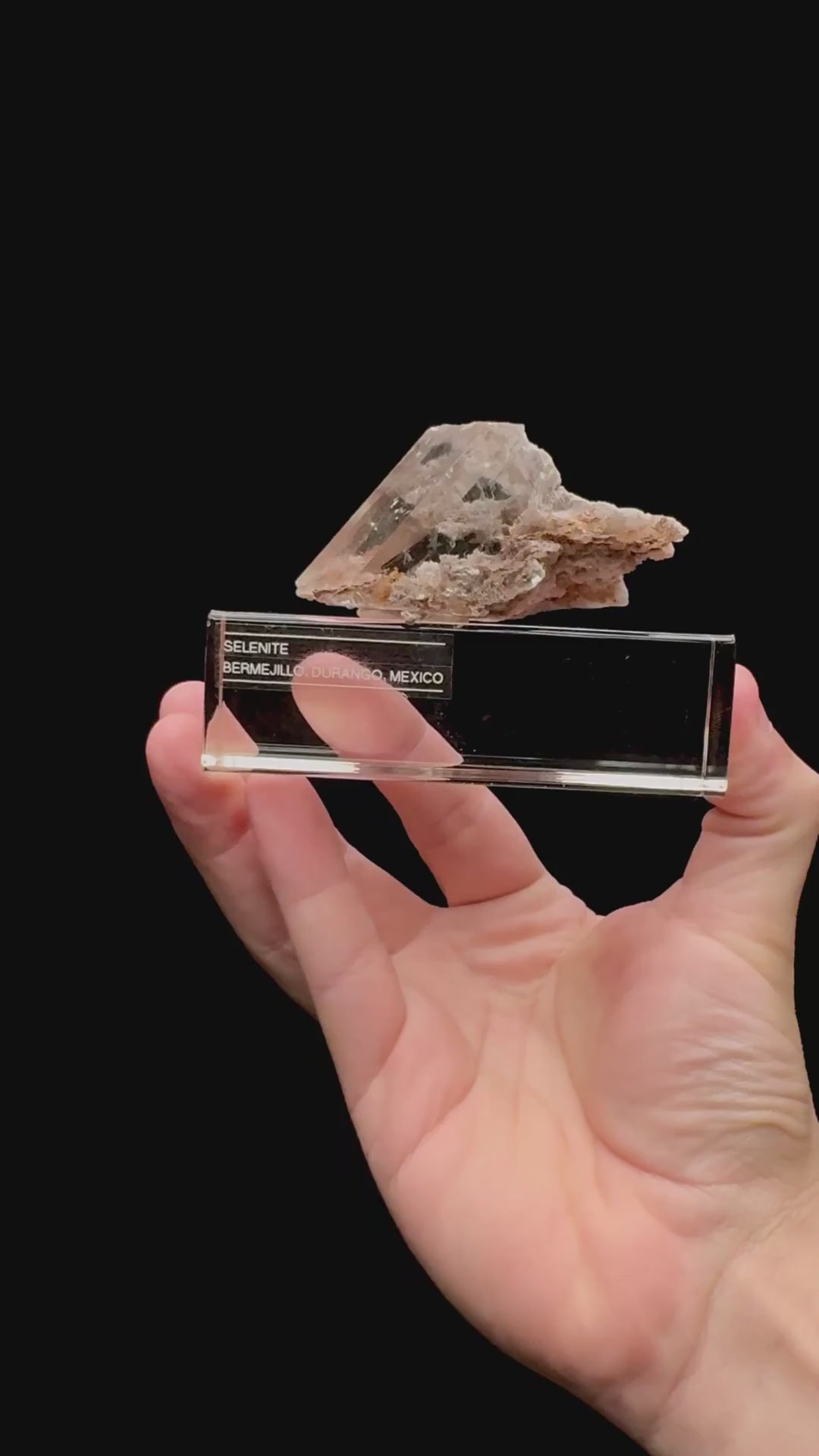 Specimen rotation video 119