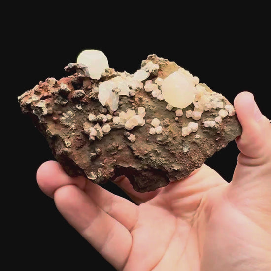 Specimen rotation video 573