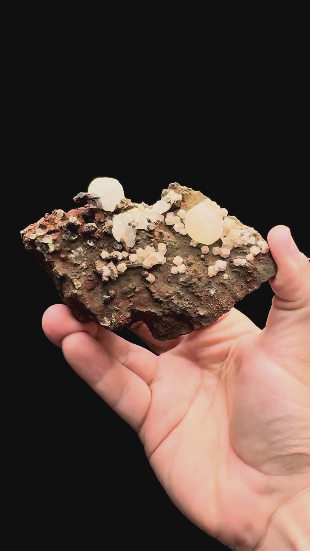 Specimen rotation video 573