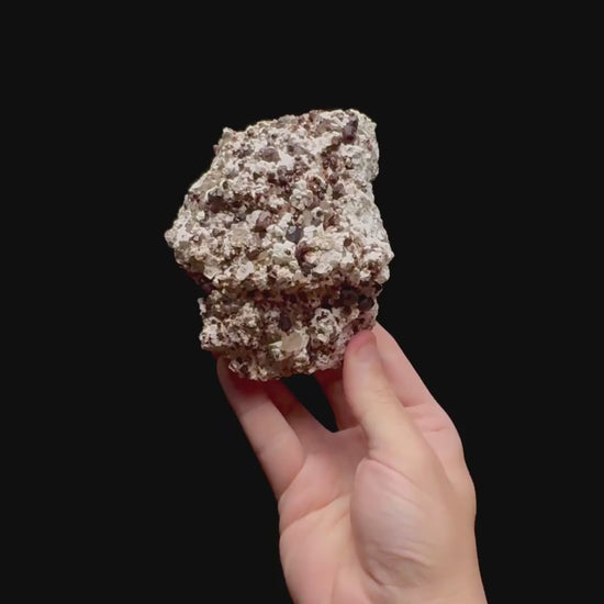 Specimen rotation video 0450