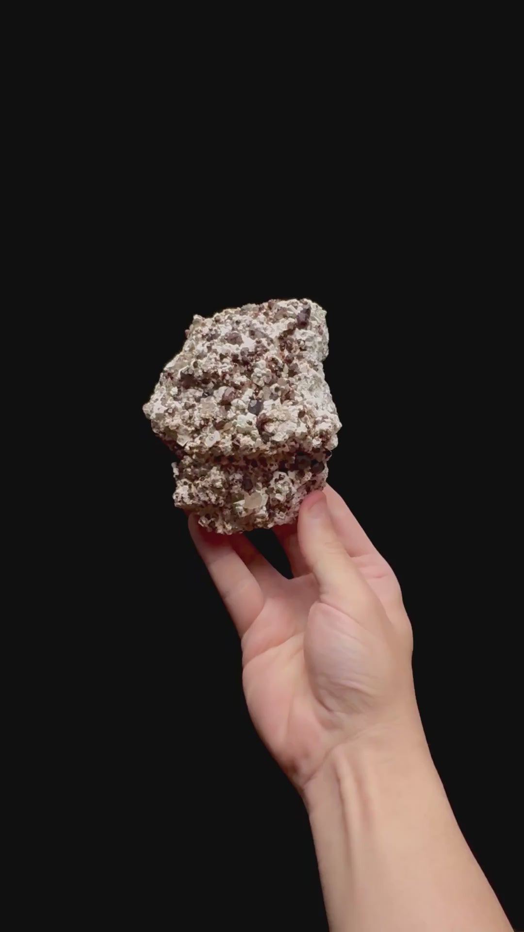 Specimen rotation video 0450